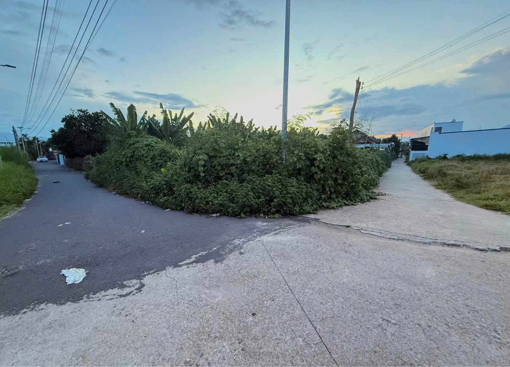 Đất 3 mặt tiền đường Thành Hồ, Diên Phước, 534m² giá 3.1 tỷ - Tiềm năng đầu tư hấp dẫn!