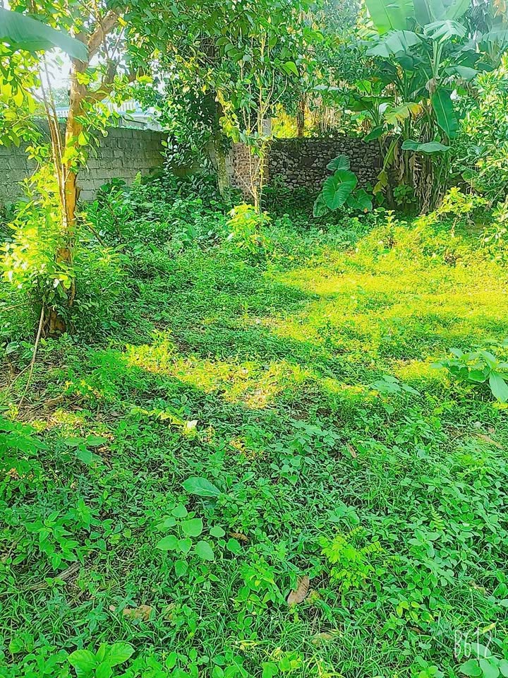 Đất nền Cao Dương Lương Sơn 300m² giá 1.2 tỷ - Sổ hồng chính chủ, vị trí đẹp!