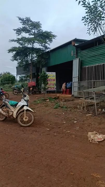 Đất mặt đường Đắk Mol Đắk Song 15m² giá 1.35 tỷ - Cơ hội đầu tư lý tưởng!