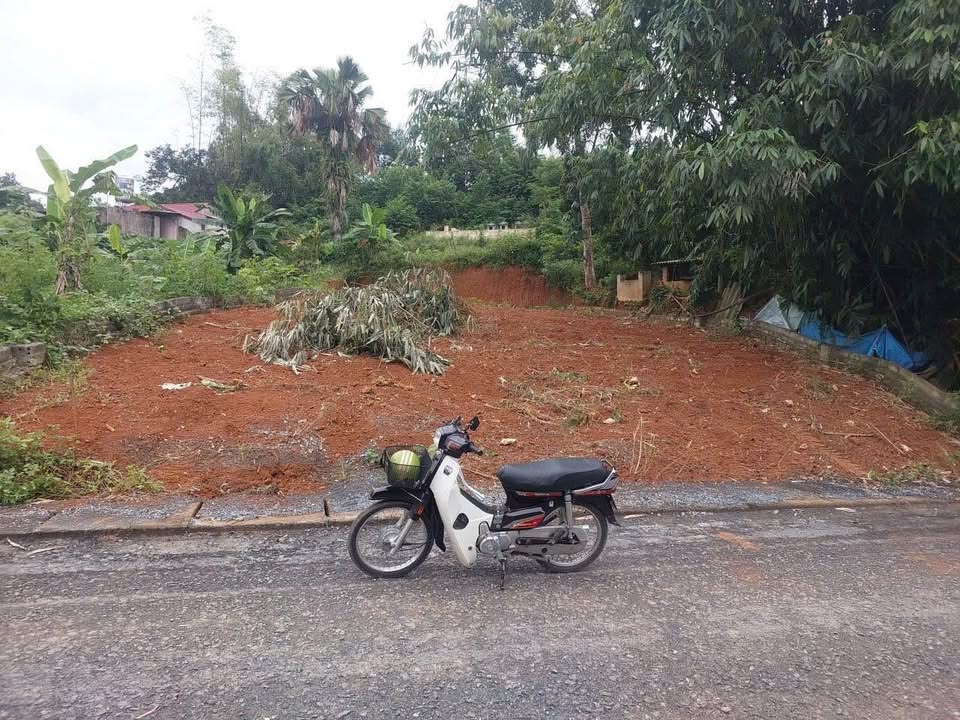 Đất nền Phù Ninh, Phú Thọ 209m² giá chỉ 9xx triệu - Đường rộng, tiện ích đầy đủ!