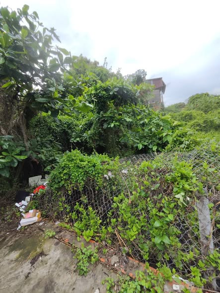 Đất nền nở hậu hẻm ô tô Hẻm 8 Kỳ, Mỹ Phước 84m² - Giá chỉ 1 tỷ!