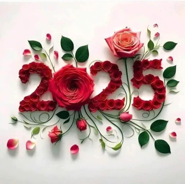 Bán đất Ninh Khánh, Yên Khánh 76m² giá thỏa thuận - Đầu tư tương lai tại trung tâm sầm uất!