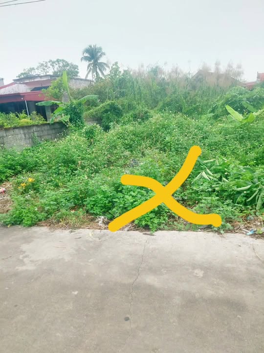 Đất nền 80m² tại thôn Minh Khai, xã Mỹ Đức, Hải Phòng - Vị trí đắc địa, đầu tư sinh lời nhanh!