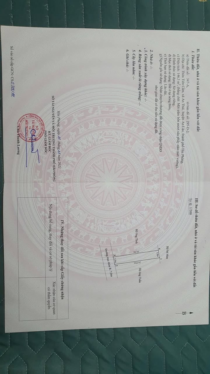 Đất liền kề An Thái 145m² giá 1 tỷ - Đầu tư sinh lời cao!