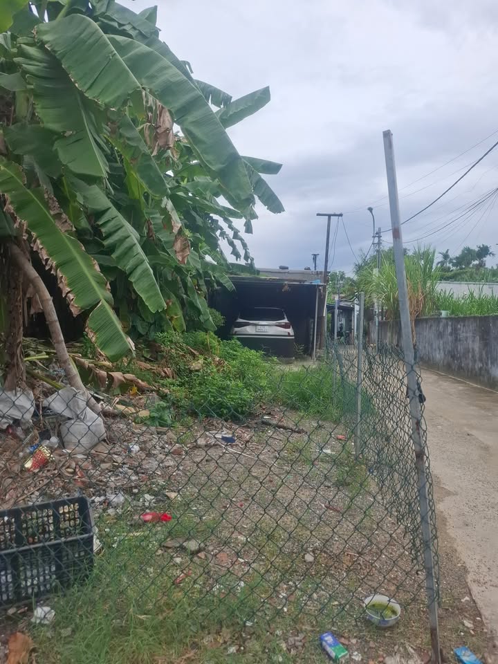 Đất nền Hòa An, Cẩm Lệ 86m² giá 3 tỷ - Sổ hồng chính chủ, đầu tư sinh lời!