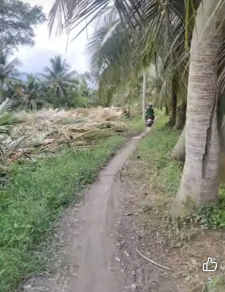 Đất mặt tiền 1000m² tại huyện Trần Đề, Sóc Trăng - Giá chỉ 380 triệu VND