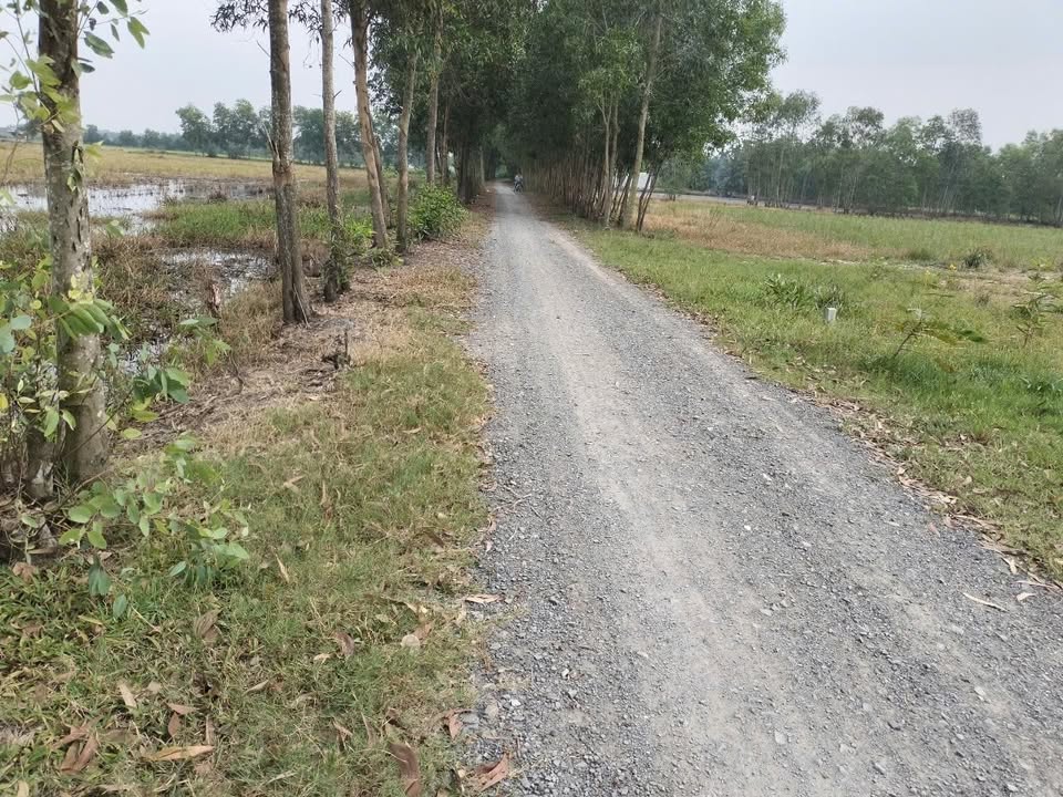 Đất ở đô thị Đức Hòa 1000m² giá chỉ 5 tỷ - Sổ hồng chính chủ, cơ hội đầu tư tuyệt vời!