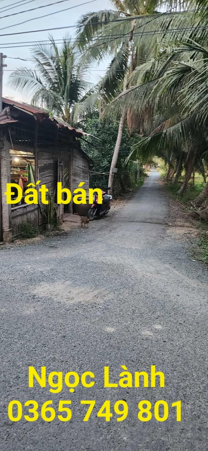 Đất 2 mặt tiền tại Vang Quới Tây, Bình Đại 316m² giá 520 triệu - Pháp lý rõ ràng!