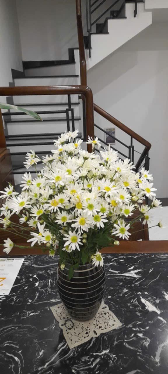 Nhà 4 Tầng Mặt Tiền Sử Hy Nhan, Liên Chiểu 220m² - Full Nội Thất Cao Cấp