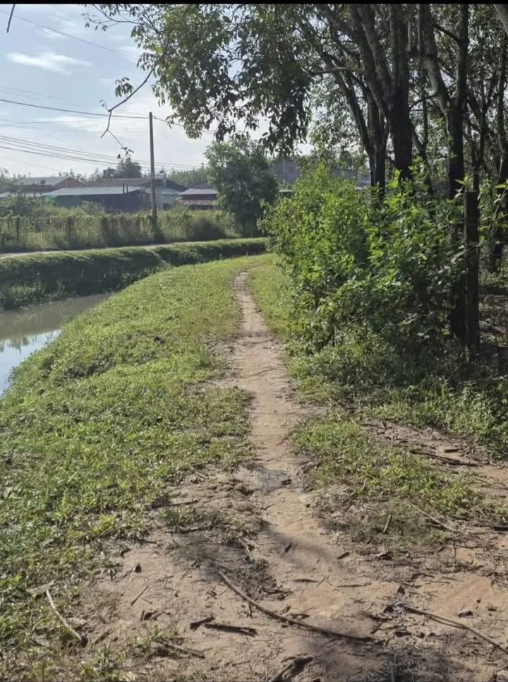 Đất nền 1000m² Trường Hòa, Long Hoa - Giá chỉ 365 triệu VND!