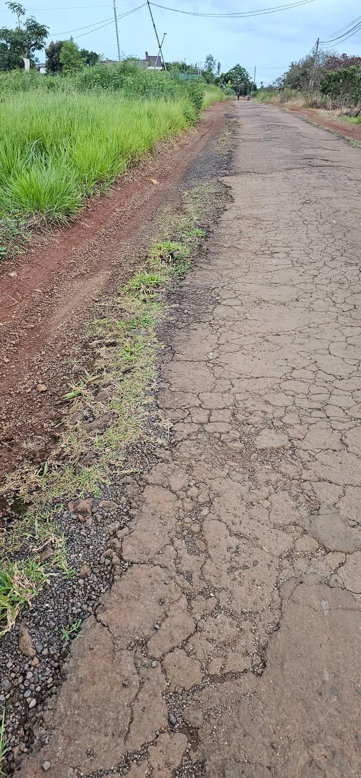 Đất nền Đắk Wer 600m² giá 1 tỷ - Đường nhựa, thương lượng ngay!