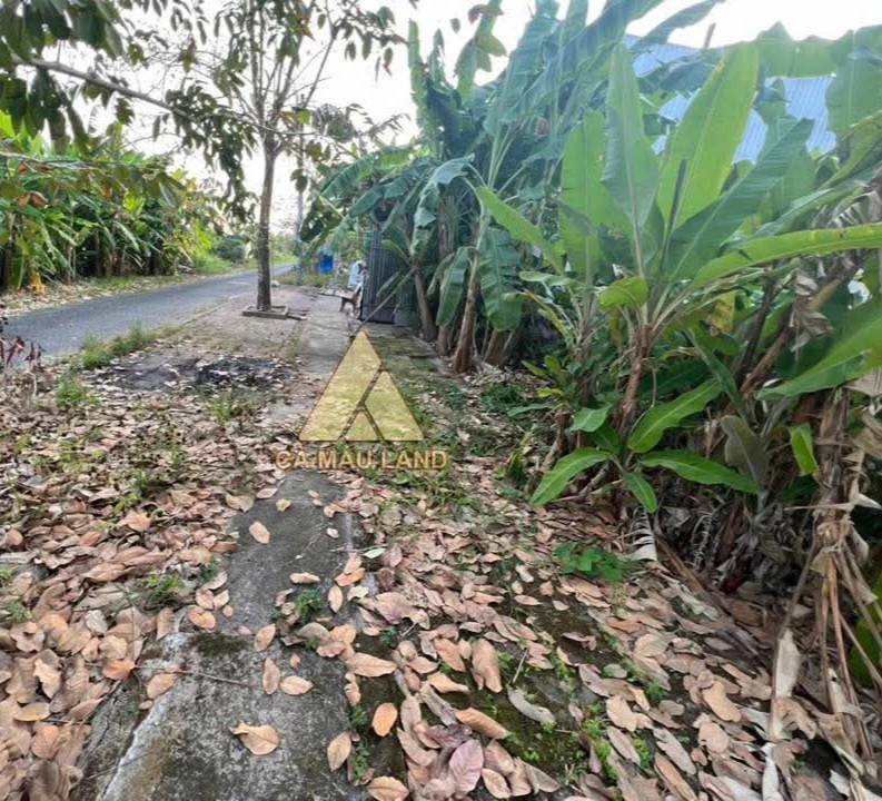 Bán đất nền liền kề đường số 5, KDC Tân Xuyên, Cà Mau - Giá chỉ 1 tỷ!