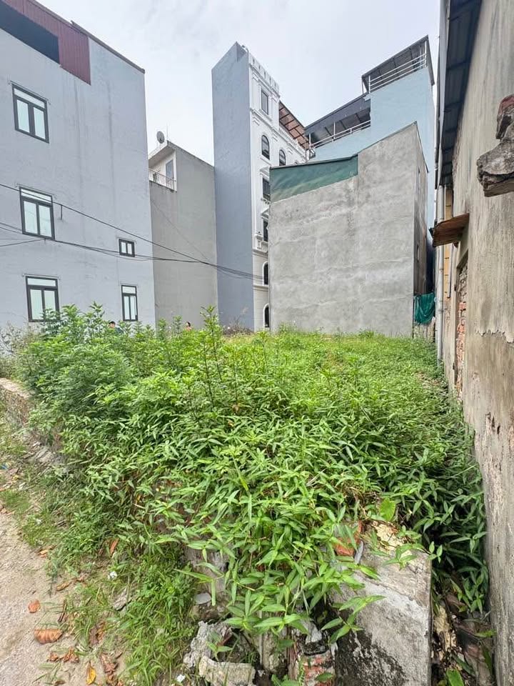 Đất nền Phúc Lợi Long Biên 59.1m² giá thỏa thuận - Vị trí đắc địa tiềm năng sinh lời!