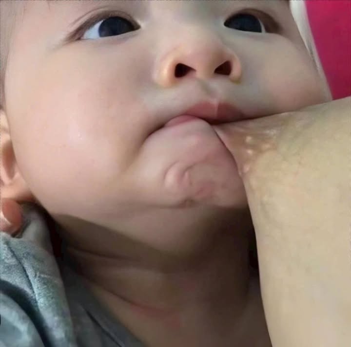 Đất thổ cư 100m² tại Mỹ Quang, Phù Mỹ - Giá chỉ 700 triệu!