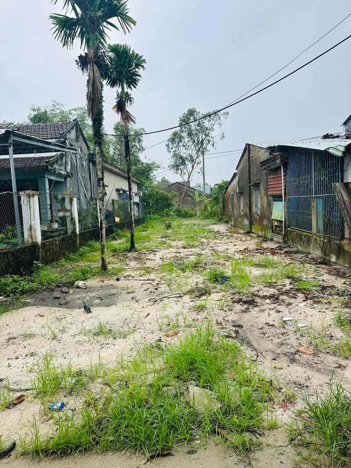 Đất Trường Xuân, Tam Kỳ 202m² giá chỉ 1.2 tỷ - Cơ hội đầu tư sinh lời!