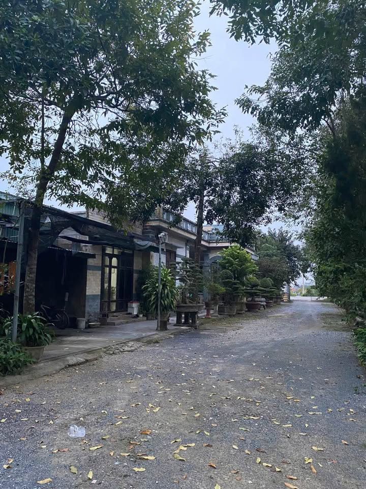 Đất sản xuất và dịch vụ thương mại tại phường Đông Sơn, 7573m² giá 29.6 tỷ - Pháp lý rõ ràng!