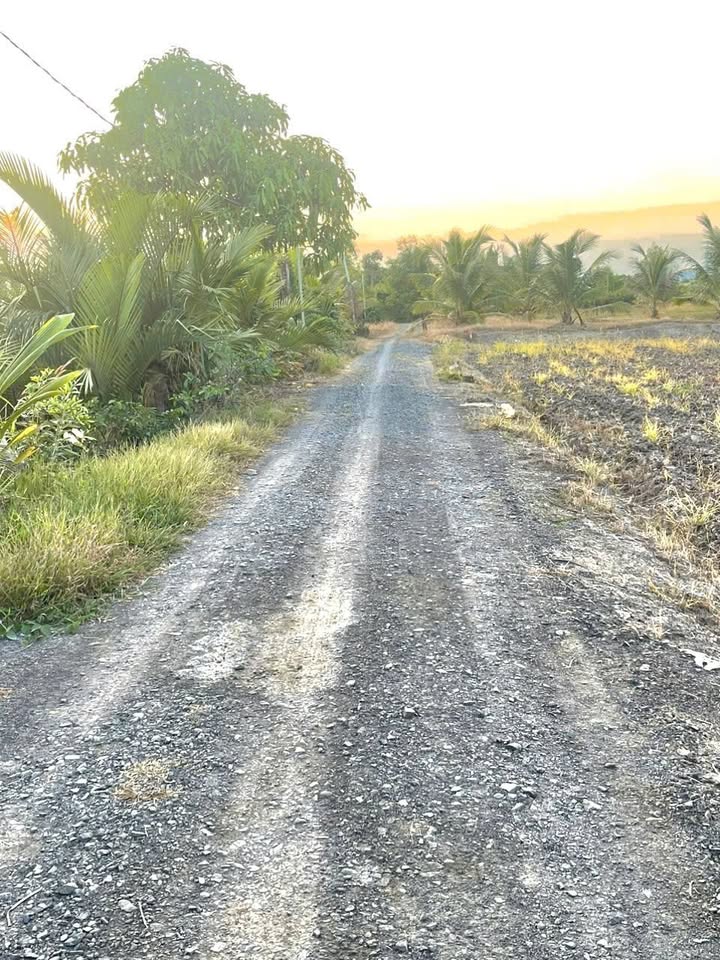 Đất nền 4000m² tại xã Phú Hữu, Nhơn Trạch - Giá chỉ 10.8 tỷ - Sổ hồng riêng