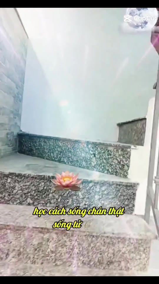 Nhà cho thuê đường Phú Định, quận 8, 67m² giá 9 triệu - Không gian riêng tư, tiện nghi!