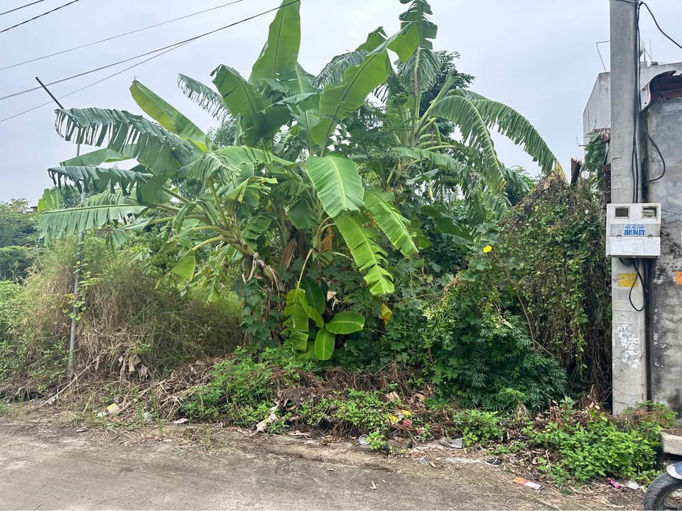 Lô đất ngõ 93 Tân Thành, Dương Kinh 80m² giá 1 tỷ - Sổ đỏ chính chủ