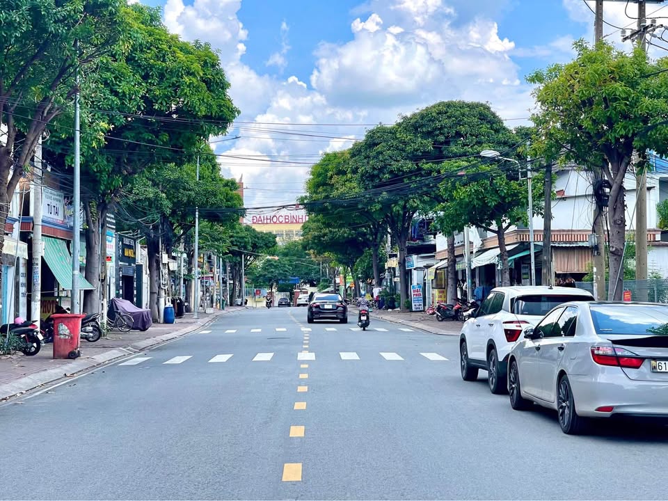 Đất mặt tiền Trương Định Thủ Dầu Một 620m² - Kinh doanh sầm uất!