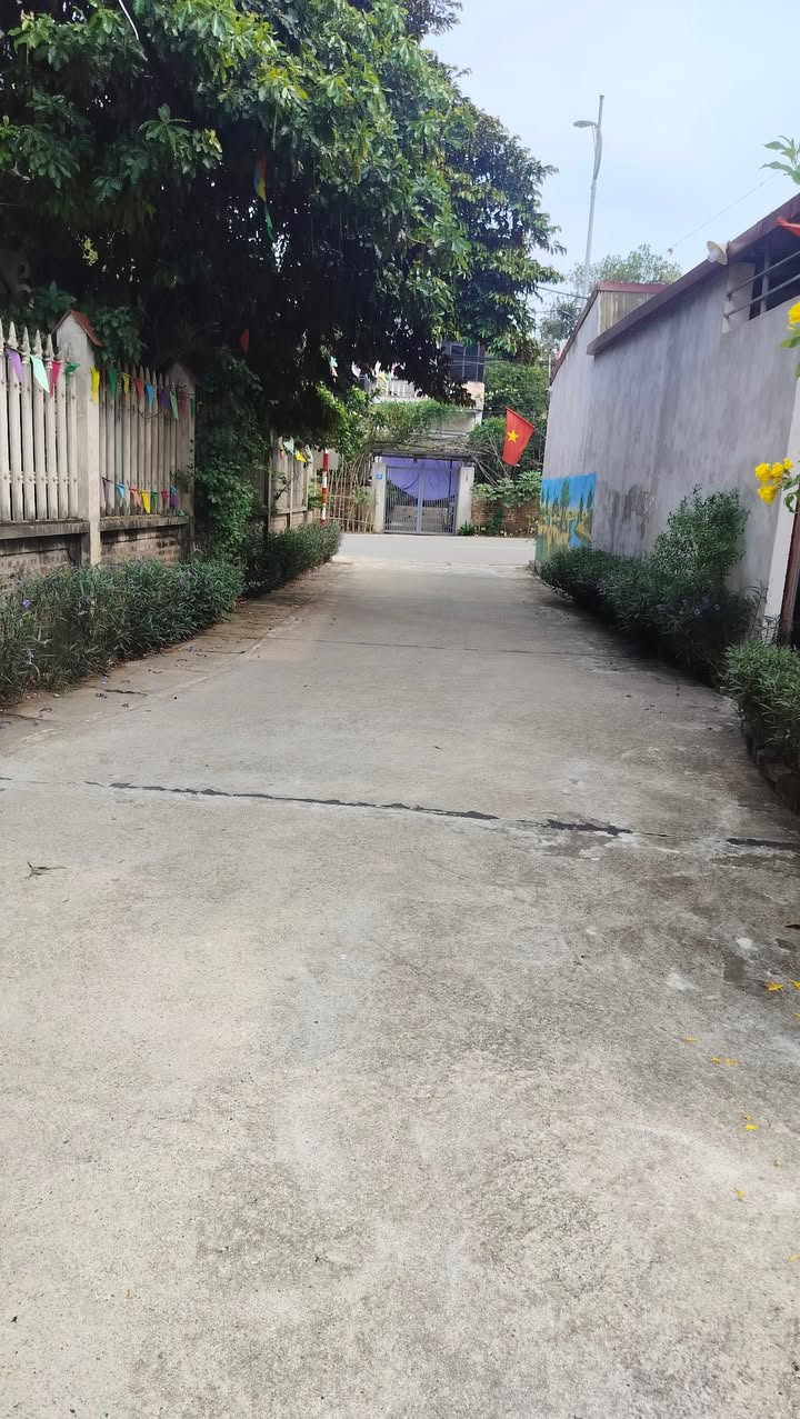 Đất nền Thôn Đông Phong, huyện Ba Vì 187m² giá 2.3 tỷ - Cơ hội đầu tư tuyệt vời!