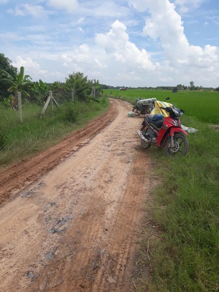 Farm đất sầu riêng Bến Cầu Tây Ninh 7000m² giá 1.2 tỷ - Đầu tư sinh lời ngay!