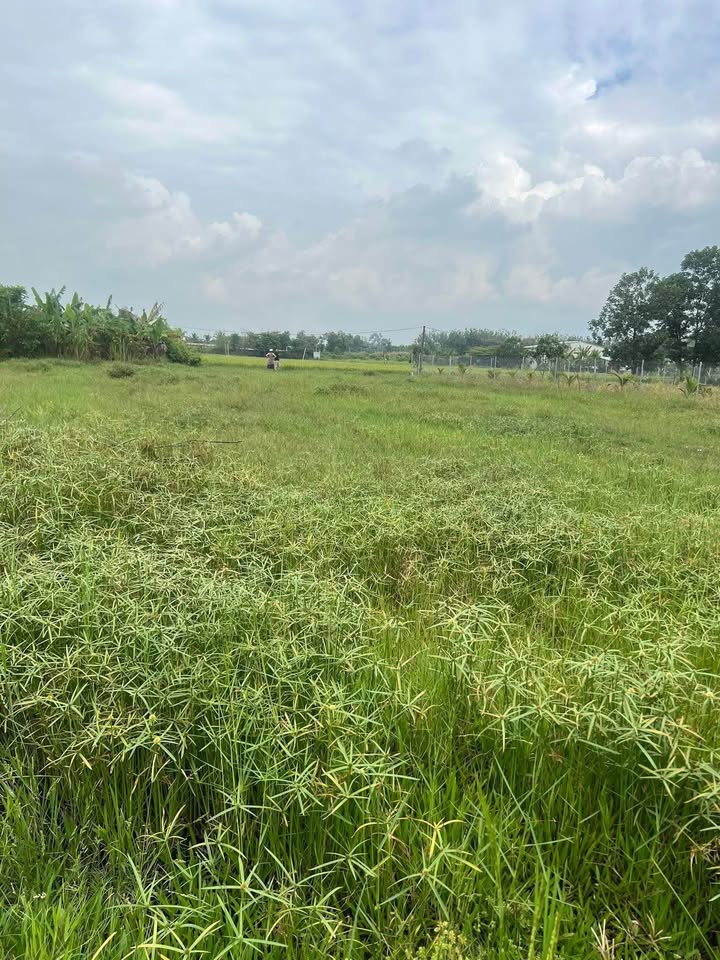 Đất Ninh Thạnh, Tây Ninh 1500m² giá 750 triệu - Cơ hội đầu tư hấp dẫn!