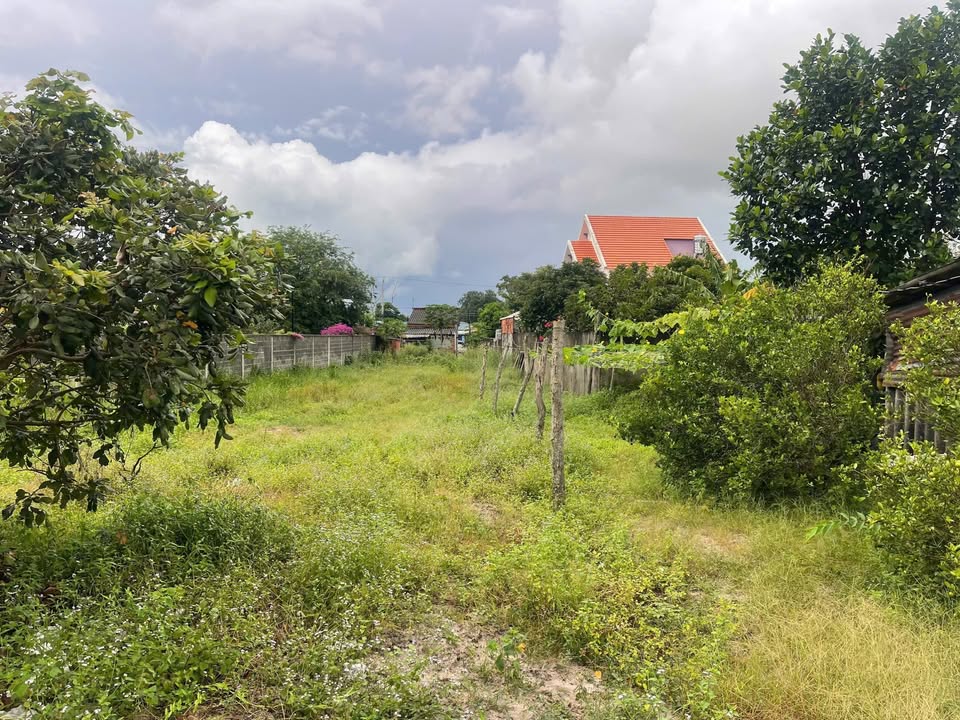 Đất vườn Phước Hải Đất Đỏ 2927m² giá 5.9 tỷ - Sẵn sàng xây villa nghỉ dưỡng!