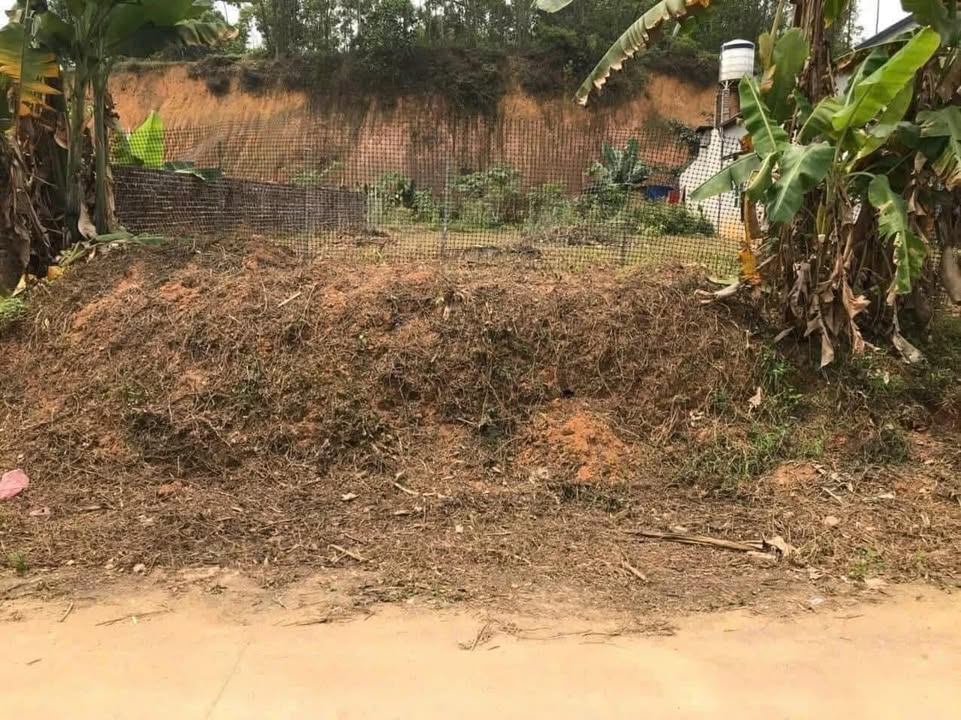 Đất nền khu 2 phường Hà Lộc 121,6m² giá chỉ 9xx triệu - Đầu tư sinh lời ngay!