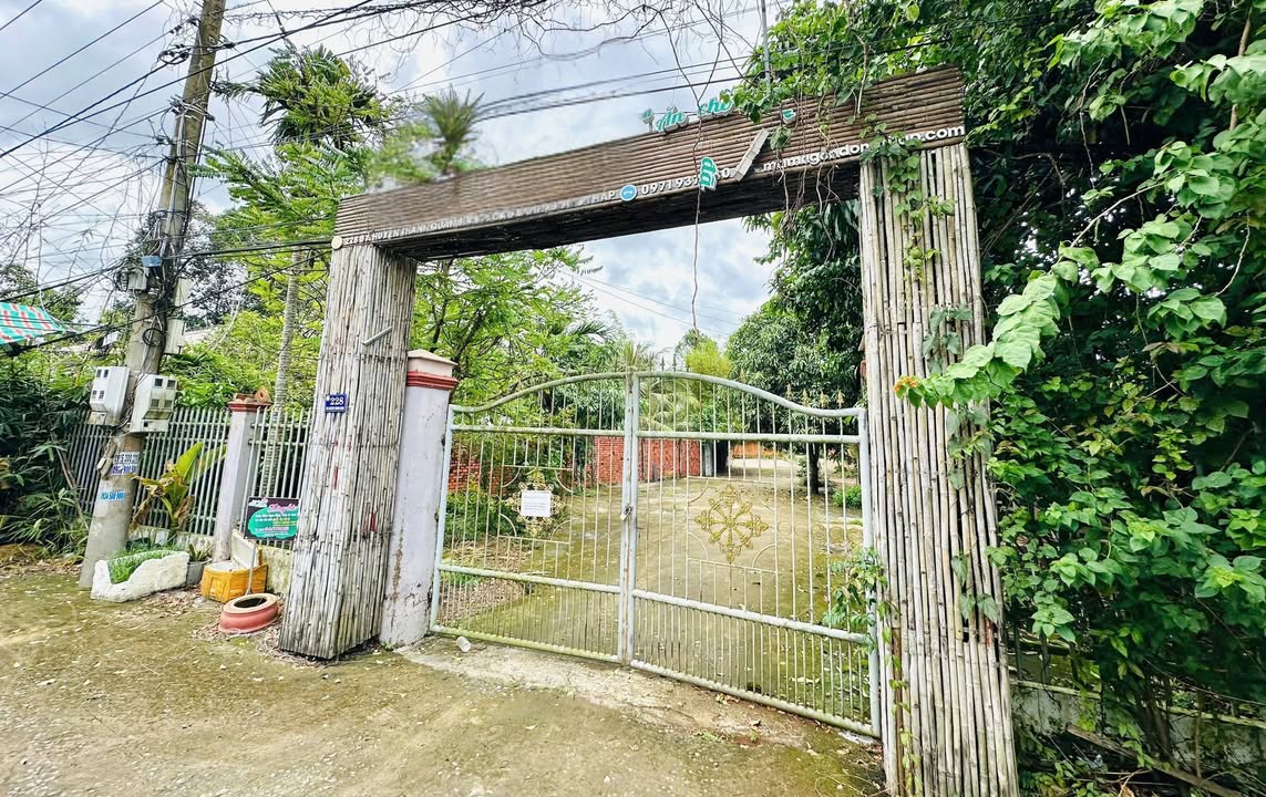 Đất Kinh Doanh Cho Thuê 5000m² Tại Cao Lãnh - Mặt Bằng Lý Tưởng Phát Triển Kinh Doanh