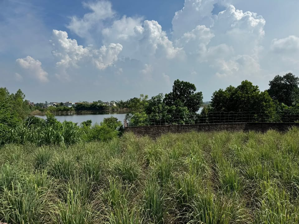Đất ở Phú Cát Quốc Oai 104,4m² giá 1 tỷ - Vị trí view hồ tuyệt đẹp!