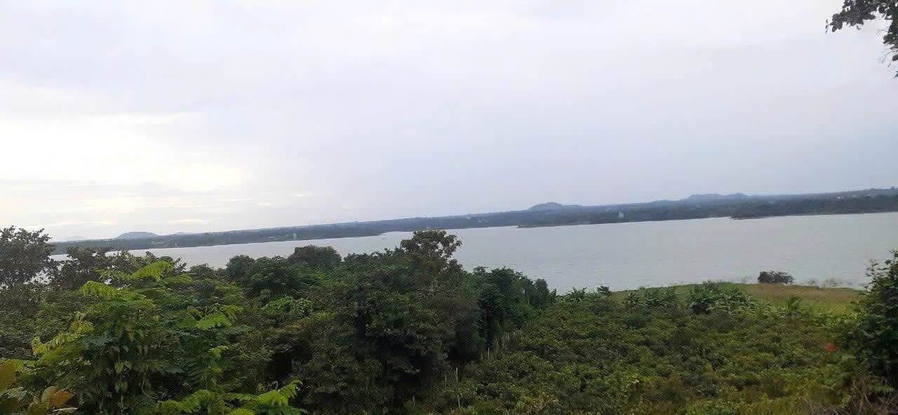 Đất thổ cư Bờ Hồ, Bàu Lâm 5000m² giá chỉ 7 tỷ - Đầu tư sinh lời ngay!