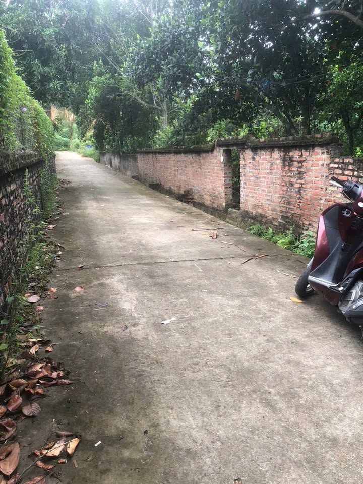 Đất nền Kim Đức, Việt Trì 174m² giá 1 tỷ - Cơ hội đầu tư tuyệt vời!