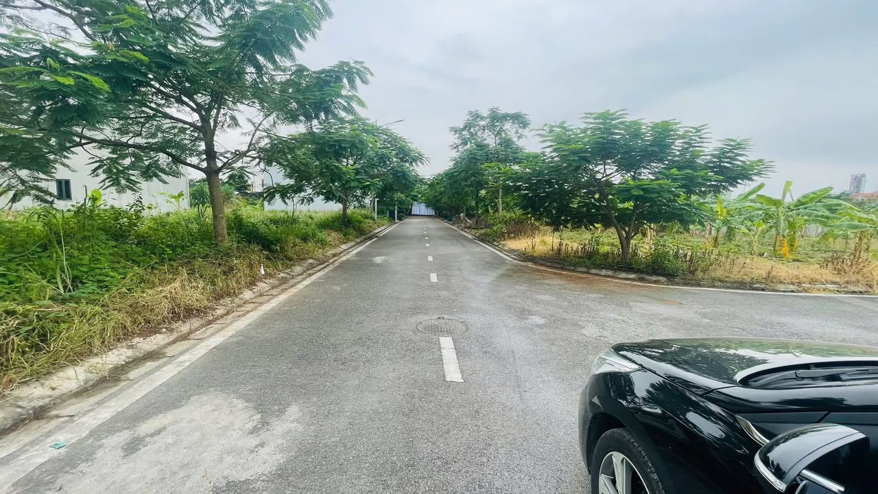 Đất nền tái định cư An Sơn, Thủy Nguyên 75m² - Vị trí đẹp, hạ tầng đồng bộ!