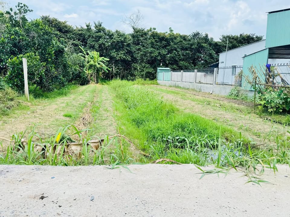 Đất nền Nhơn Ái, Phong Điền, Cần Thơ 210m² giá chỉ 950 triệu - Cơ hội đầu tư sinh lời!