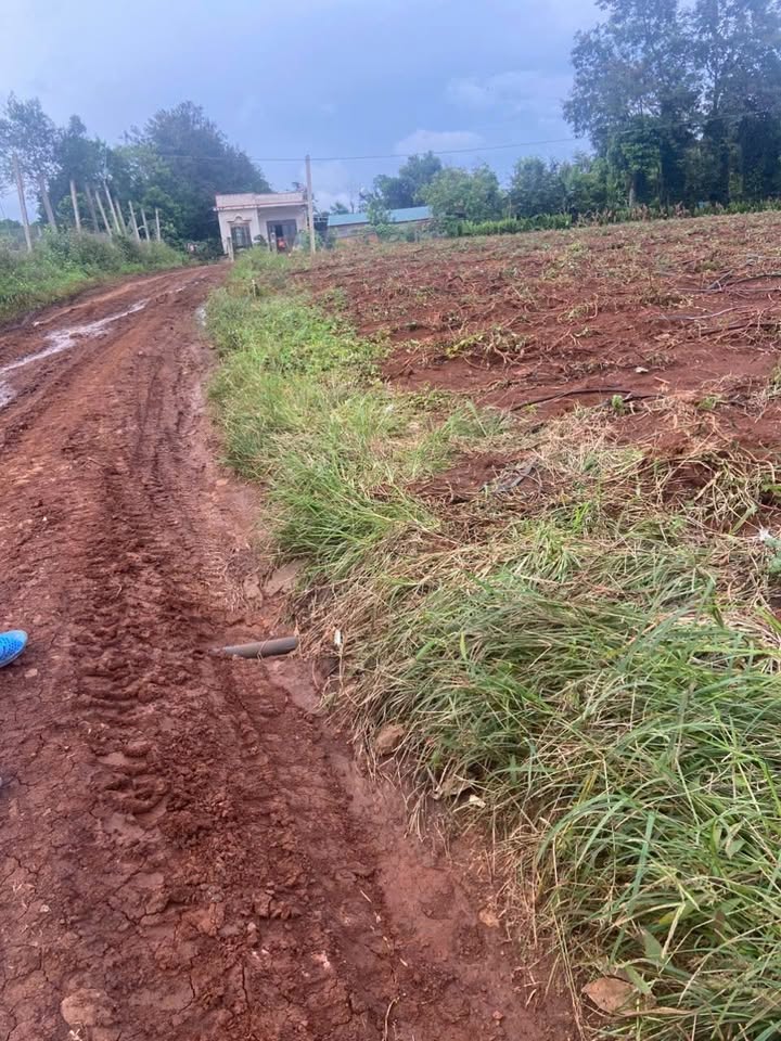 Đất nền Thôn 5 - Phú Xuân 1980m² giá 1.2 tỷ - Sổ đỏ chính chủ, mặt tiền đường lớn!