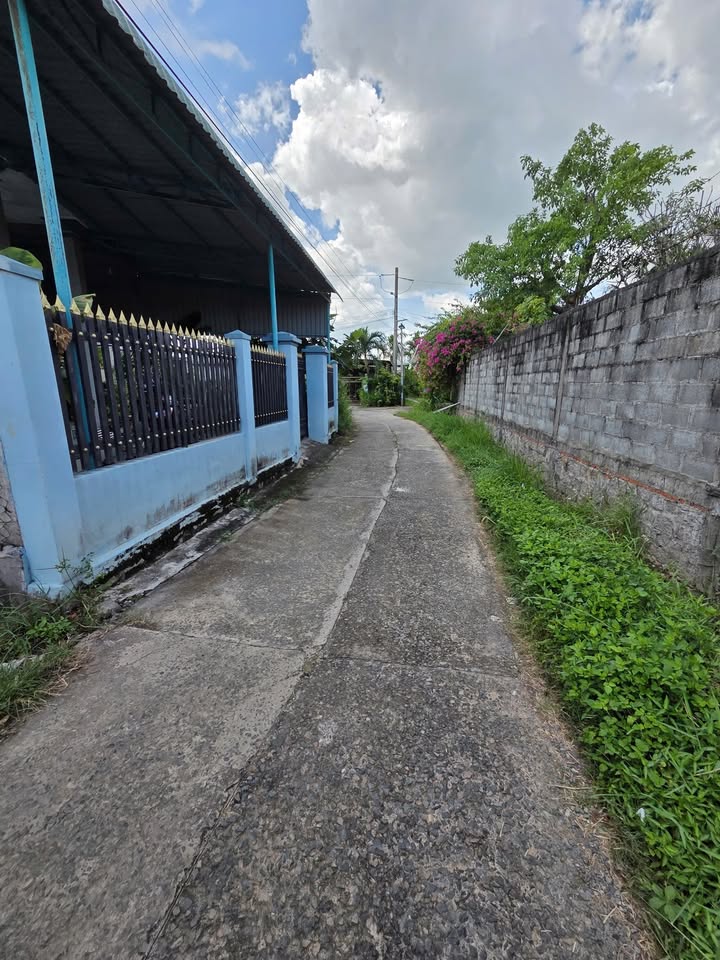 Đất thổ cư Hàm Mỹ, Bình Thuận 265m² giá 1.5 tỷ - Cơ hội đầu tư tuyệt vời!