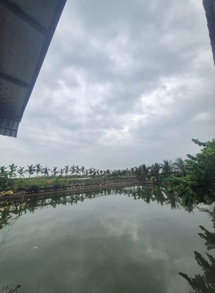 Đất nền Yên Mẫn Vạn An 81,2m² - Cơ hội đầu tư hấp dẫn!