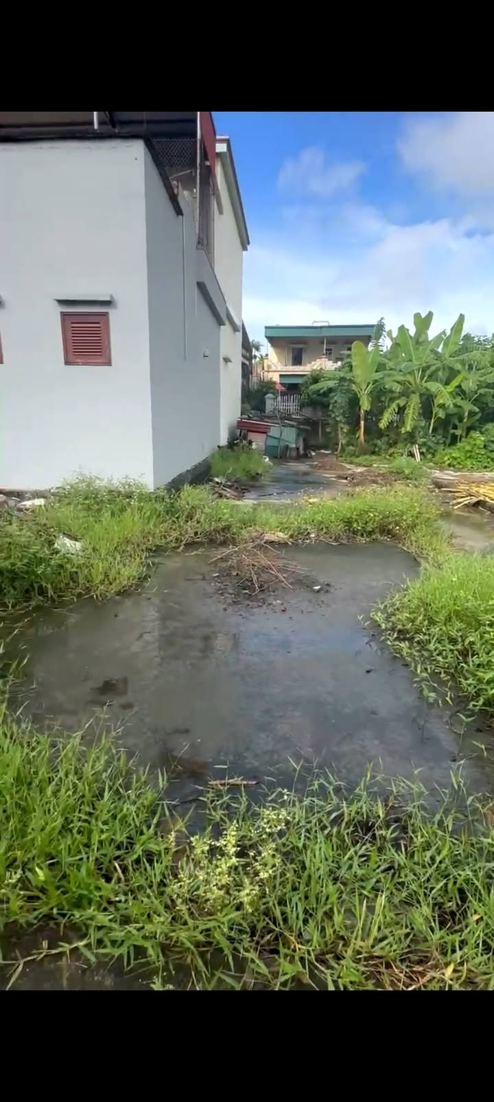 Đất nền Hồng Phong Ninh Giang 157m² giá thỏa thuận - 3 mặt đường gần chợ