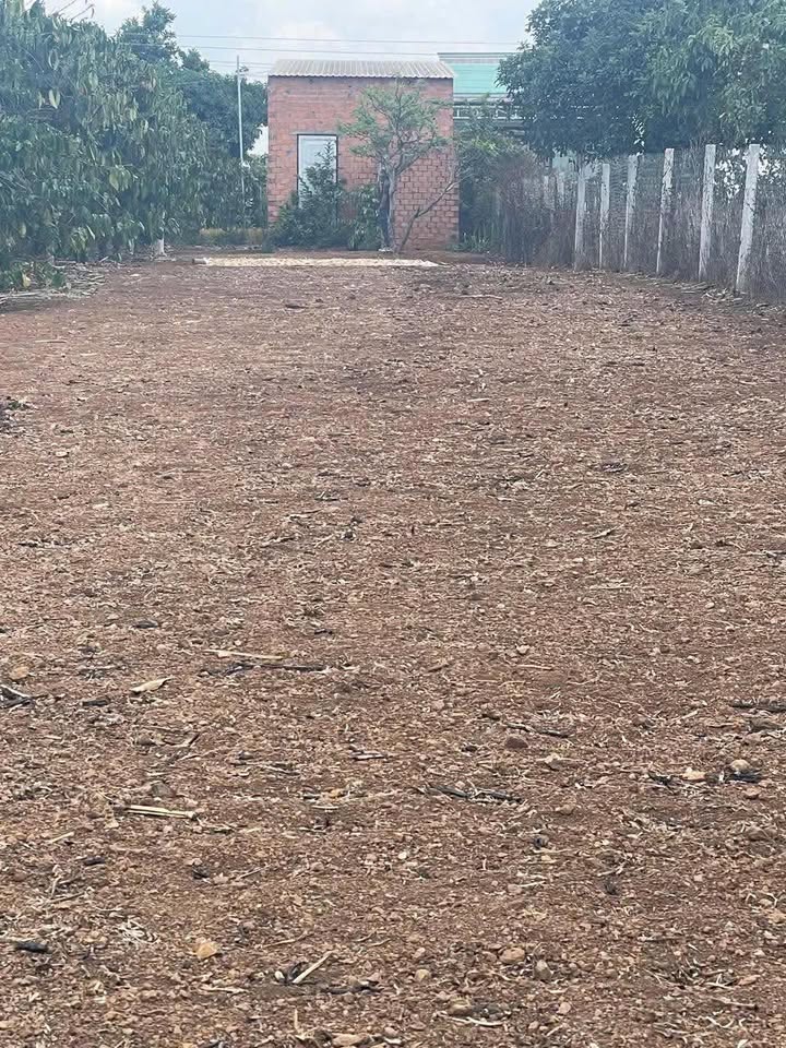 Đất nền Tân Hội Đức Trọng 444m² giá 850 triệu - Cơ hội đầu tư hấp dẫn!