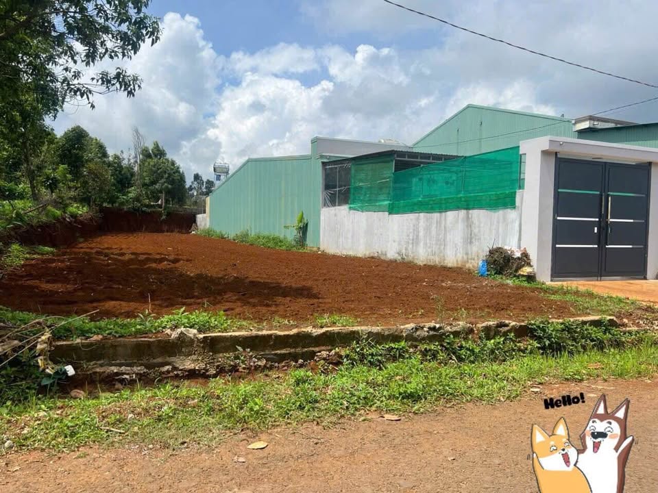 Đất thổ cư 255m² tại Pleiku, Gia Lai giá 900 triệu - Hướng Tây Bắc, sổ hồng chính chủ!