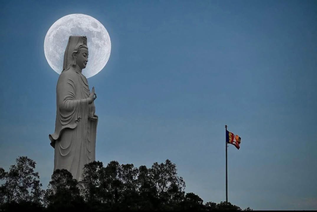 Đất nền Sơn Trà 270m² giá 10.99 tỷ - Đầu tư sinh lời ngay!