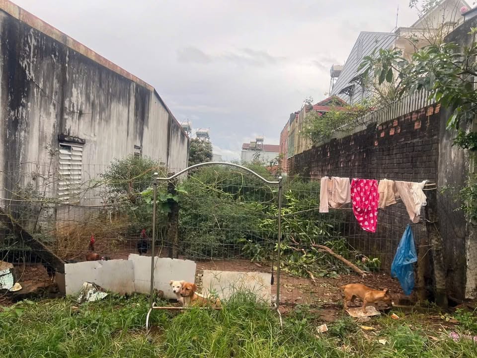 Đất hẻm chính Nguyễn Thiếp, P. Diên Hồng 213m² giá 1.8 tỷ - Cơ hội đầu tư hấp dẫn!