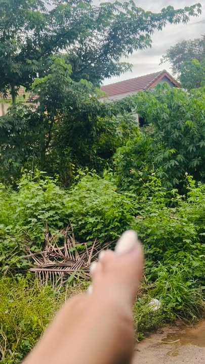 Đất góc Nguyễn Chí Thanh, Phù Cát diện tích 207m² - Cơ hội đầu tư hấp dẫn!