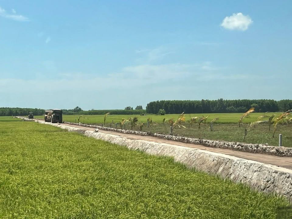 Đất nền Phước Long Thọ 397m² giá 300 triệu - Cơ hội đầu tư tuyệt vời!