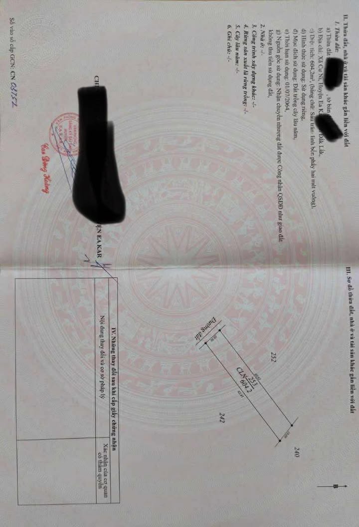 Đất nền thôn Ea Sinh 1, xã Cư Ni, huyện Ea Kar 600m² giá 200 triệu - Cơ hội đầu tư không thể bỏ lỡ!