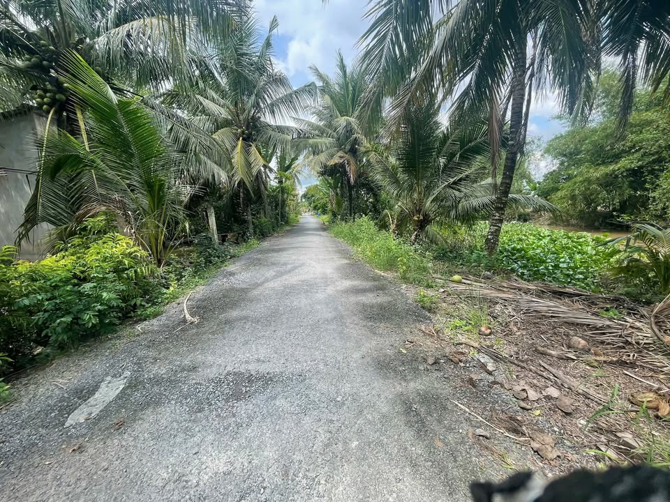 Đất nền Tân Phú Trung, Châu Thành, Đồng Tháp 180m² giá 400 triệu - Tiện ích đa dạng, vị trí đắc địa!