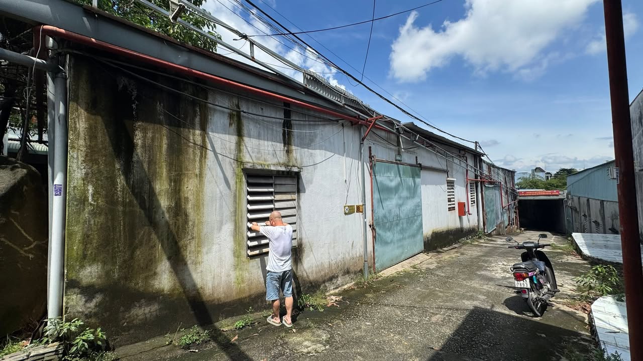 Kho xưởng cho thuê 250m² và 400m² tại Hố Nai, Biên Hòa - Giá chỉ 4 triệu/tháng!