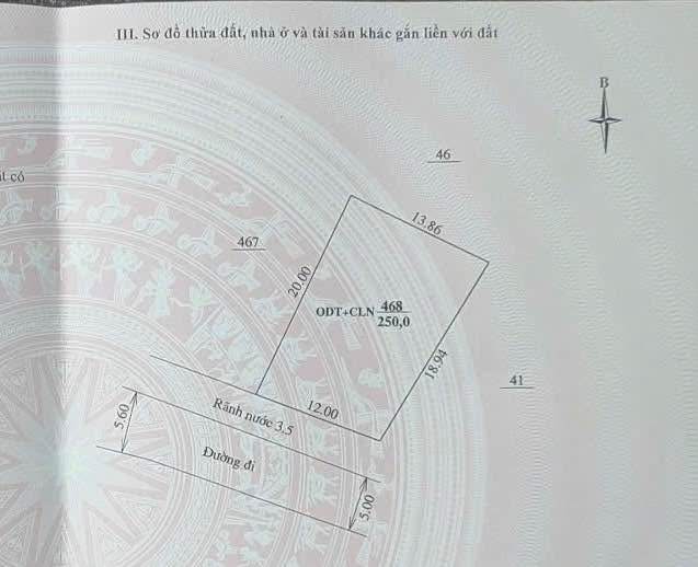 Đất nền Quảng Hưng - Thanh Hóa 250m² giá 3.1 tỷ - Đầu tư sinh lời ngay!