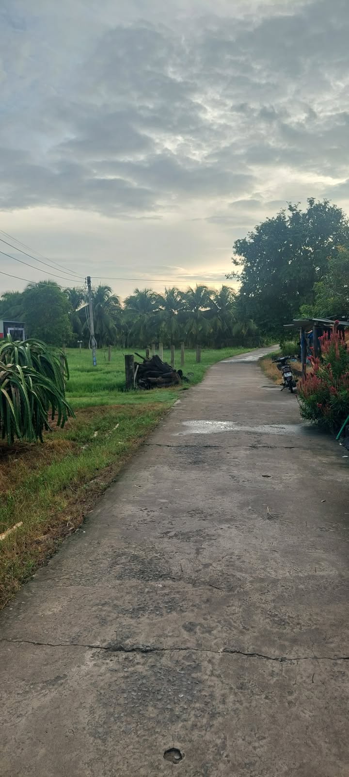 Đất nền thôn Phú Mỹ, xã Tuyên Quang, 5040m² - Cơ hội đầu tư tuyệt vời!